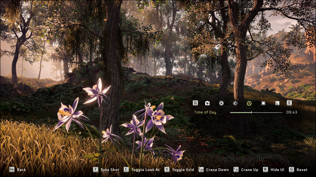Close up of freeze rime root flowers. Seven flowers are visible, with a starking purple and white contrastl. The screenshot from the game is taken at 09.43 in the morning in-game time.
